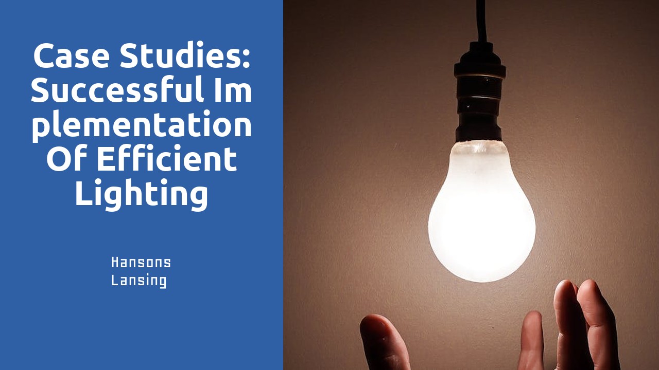 Case Studies: Successful Implementation of Efficient Lighting